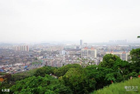 温州黄龙山公园旅游攻略 之 风景