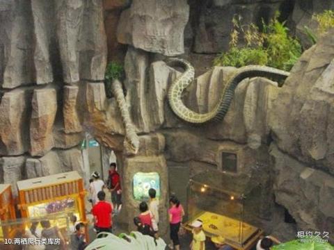 上海科技馆旅游攻略 之 两栖爬行类库房