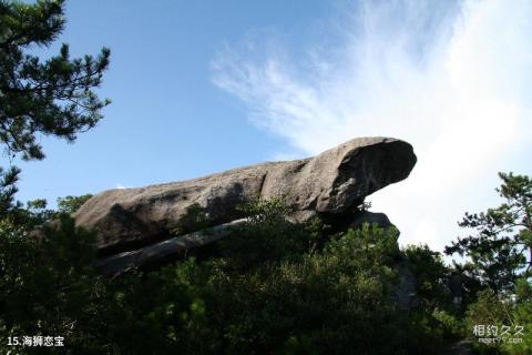 福建宝山风景名胜区旅游攻略 之 海狮恋宝