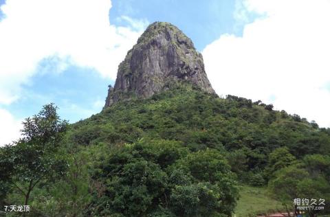 岑溪天龙顶国家山地公园旅游攻略 之 天龙顶