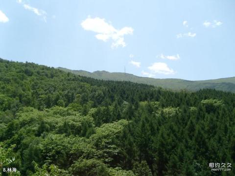 北京百花山自然风景区旅游攻略 之 林海