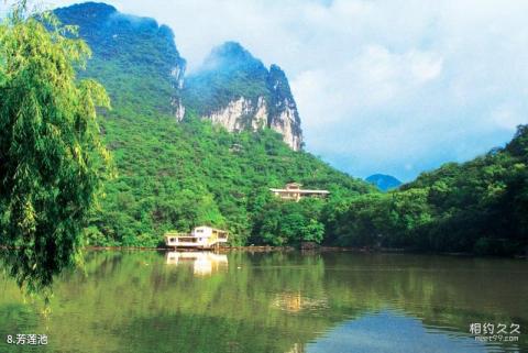 桂林芦笛岩景区旅游攻略 之 芳莲池