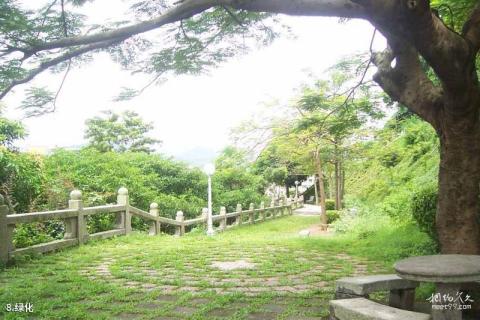 珠海香山公园旅游攻略 之 绿化