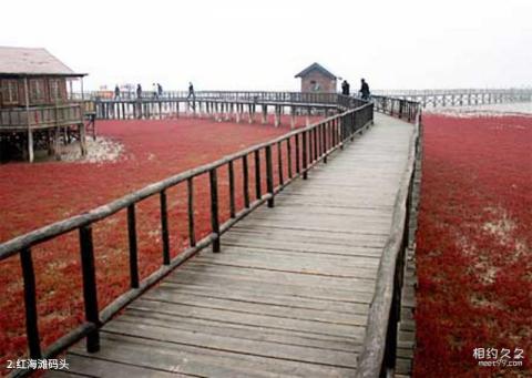 盘锦红海滩风景区旅游攻略 之 红海滩码头