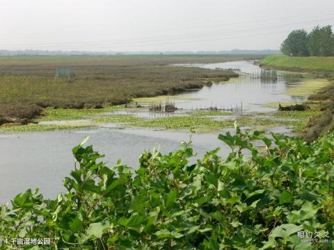 蚌埠闸旅游攻略 之 千亩湿地公园