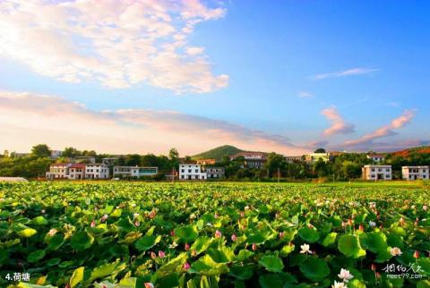 株洲仙庾岭风景区旅游攻略 之 荷塘