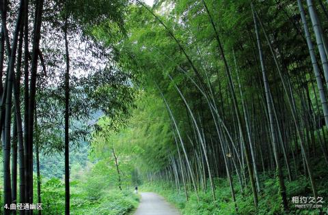 泾县水墨汀溪风景区旅游攻略 之 曲径通幽区