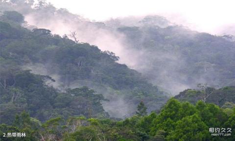 海南吊罗山国家森林公园旅游攻略 之 热带雨林