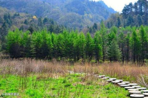 陕西木王国家森林公园旅游攻略 之 四海坪景区