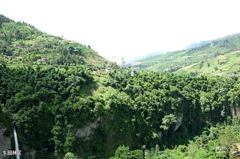 屏边大围山风景区旅游攻略 之 园林区