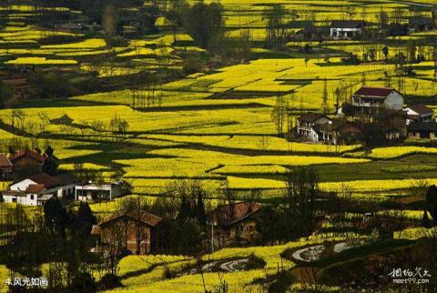 汉中油菜花旅游攻略 之 风光如画