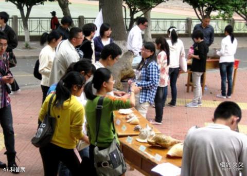 青岛水族馆旅游攻略 之 科普展