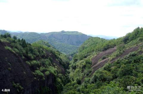 江西汉仙岩风景区旅游攻略 之 森林