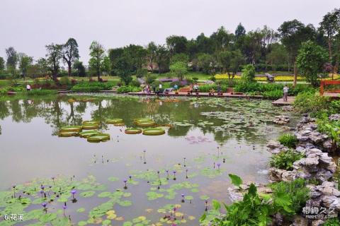 广州海珠湿地公园旅游攻略 之 花溪