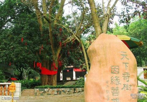 良凤江国家森林公园旅游攻略 之 菩提大观园