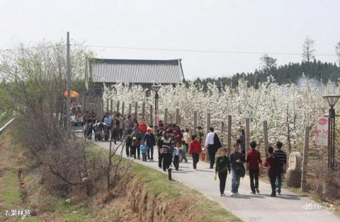 富平陶艺村旅游攻略 之 果林苑