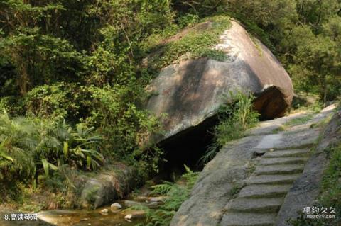 厦门万石山植物园旅游攻略 之 高读琴洞