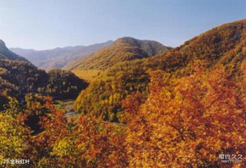 河南洛阳白云山景区旅游攻略 之 金秋红叶