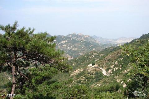 平度大泽山风景区旅游攻略 之 大姑顶