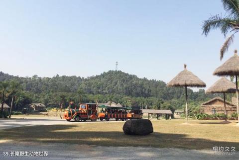 广州长隆旅游度假区旅游攻略 之 长隆野生动物世界