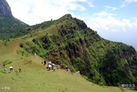 岑溪天龙顶国家山地公园旅游攻略 之 草甸