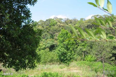 海南大田国家级自然保护区旅游攻略 之 植物资源