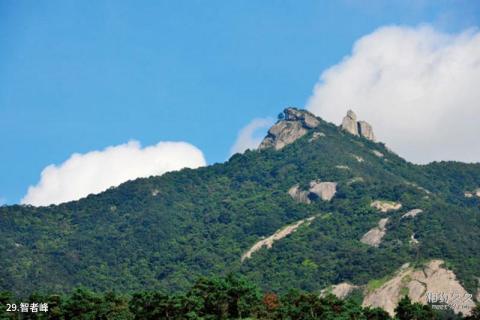 广东罗浮山旅游攻略 之 智者峰