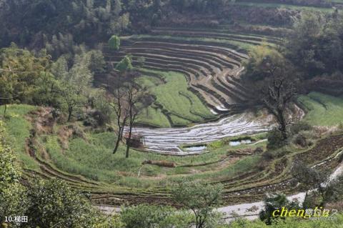 江西婺源篁岭旅游攻略 之 梯田