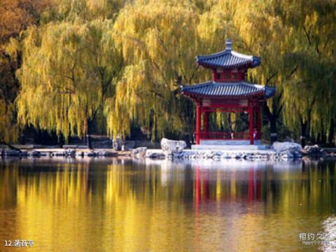 北京紫竹院公园旅游攻略 之 菡萏亭