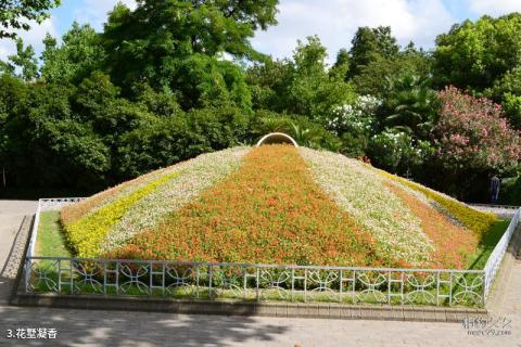 上海中山公园旅游攻略 之 花墅凝香