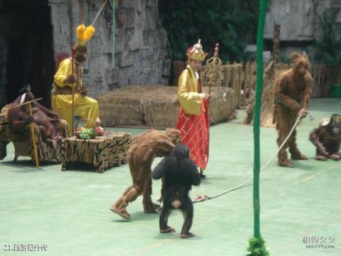 广州长隆野生动物世界旅游攻略 之 西游记外传