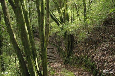 临沧五老山国家森林公园旅游攻略 之 山林