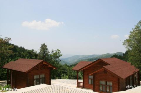 河南灵宝燕子山风景区旅游攻略 之 森林人家