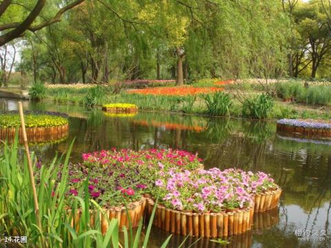 上海共青森林公园旅游攻略 之 花圃