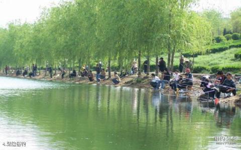 中牟雁鸣湖景区旅游攻略 之 湖边垂钓