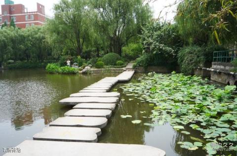 上海永清公园旅游攻略 之 清荷池