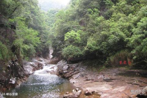 瑞安花岩国家森林公园旅游攻略