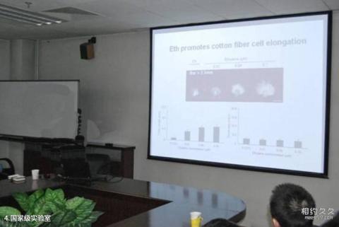 新疆中国彩棉科技园旅游攻略 之 国家级实验室