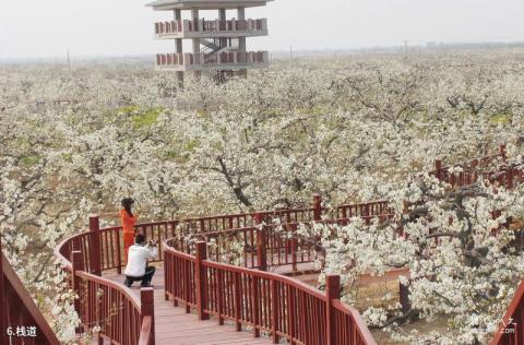 冠州梨园风景区旅游攻略 之 栈道