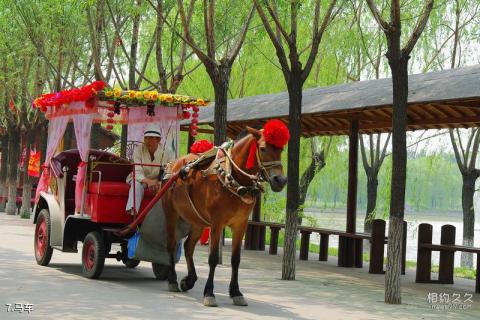 天津杨柳青庄园旅游攻略 之 马车