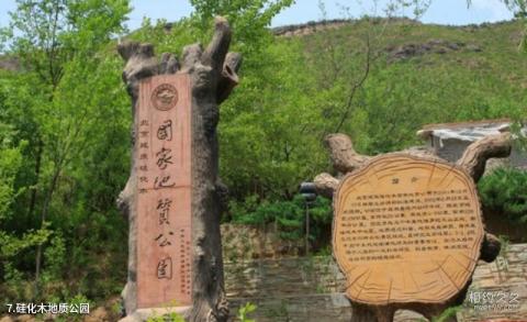 北京白河峡谷旅游攻略 之 硅化木地质公园