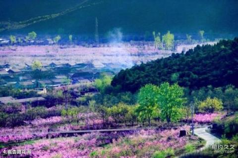 北京平谷桃花海景区旅游攻略 之 崔杏路花海