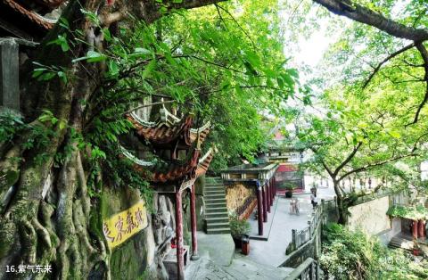 重庆市鳄鱼中心旅游攻略
