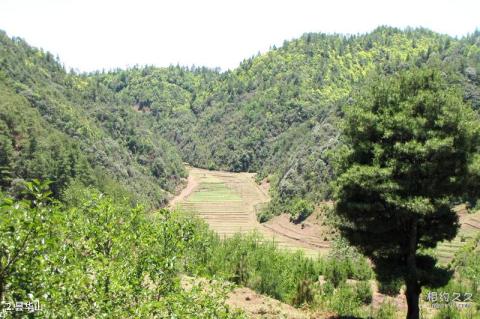 大姚昙华山风景区旅游攻略 之 昙华山