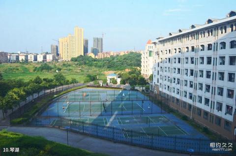 湖南湘潭大学校园风光 之 琴湖