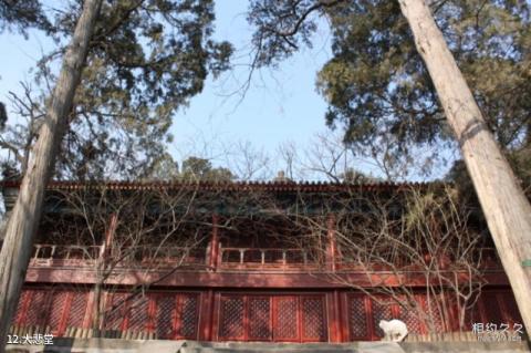 北京西山大觉寺旅游攻略 之 大悲堂