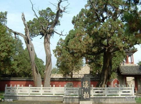 泰山风景区旅游攻略 之 汉柏院