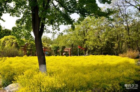 西安植物园旅游攻略 之 植物