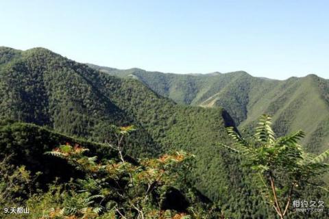 兰州石佛沟国家森林公园旅游攻略 之 天都山