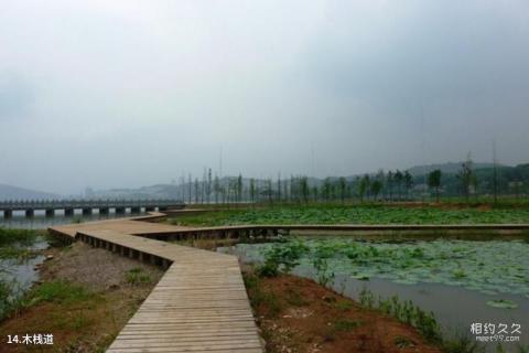 黄石磁湖风景名胜区旅游攻略 之 木栈道